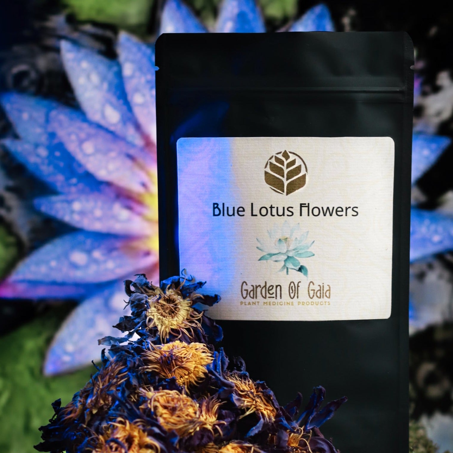 Blauer Lotus - ganze Blüten - 100g – Blue-Lotus Shop