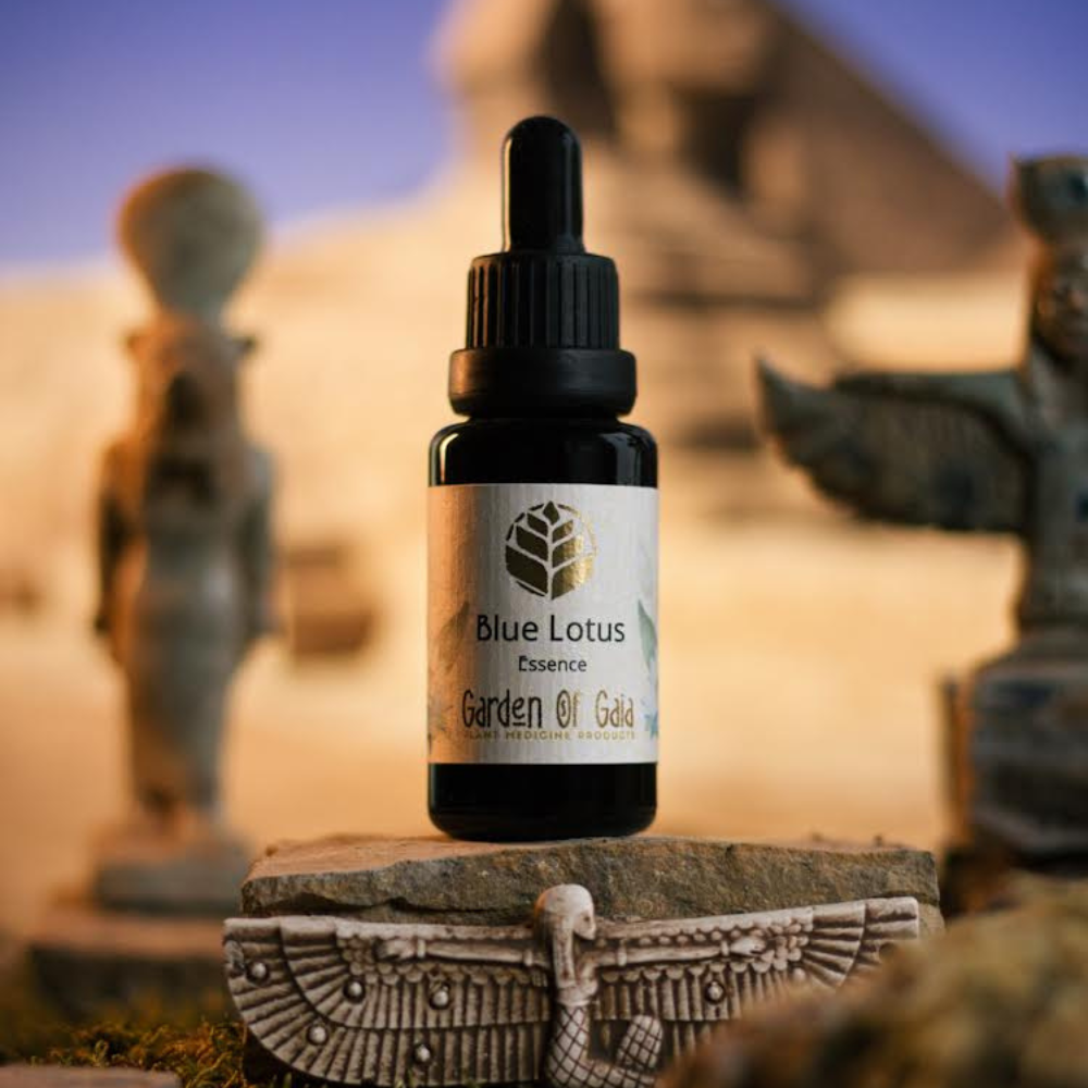 Blauer Lotus Essenz – energetische Pflanzenmedizin zur Herzöffnung, Traumaktivierung & spirituellen Ritualarbeit